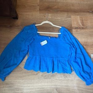 Brand New Royal Blue American Eagle Top